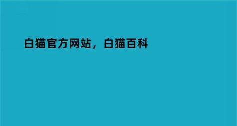 网页网站主页的重要性（设计一个吸引人的主页是成功的关键）