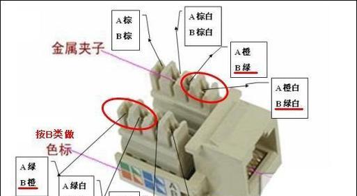 使用网线分线器一分二的正确接法图解（轻松实现网络信号共享）