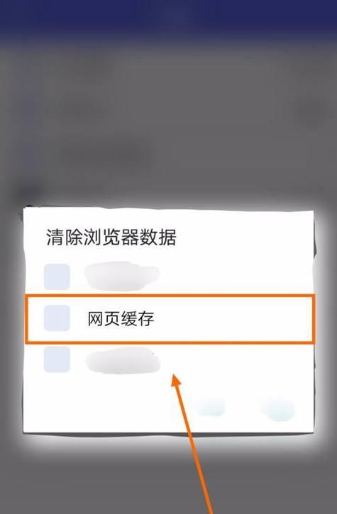 清除浏览器缓存的方式有哪些？如何快速有效地进行清理？